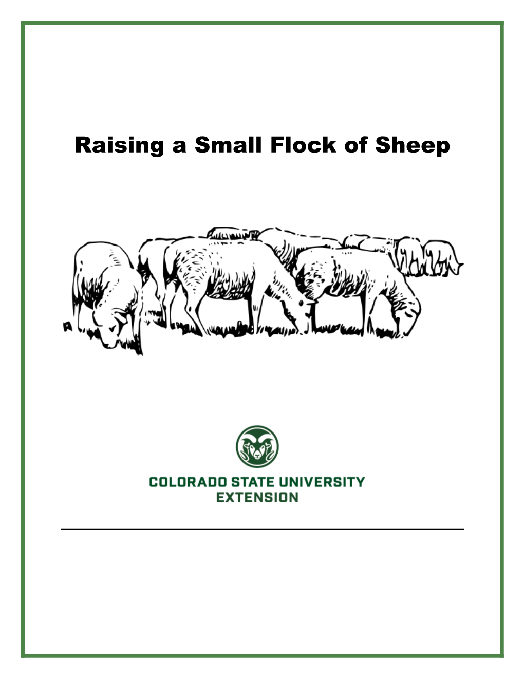 Raising a Small Flock of Sheep