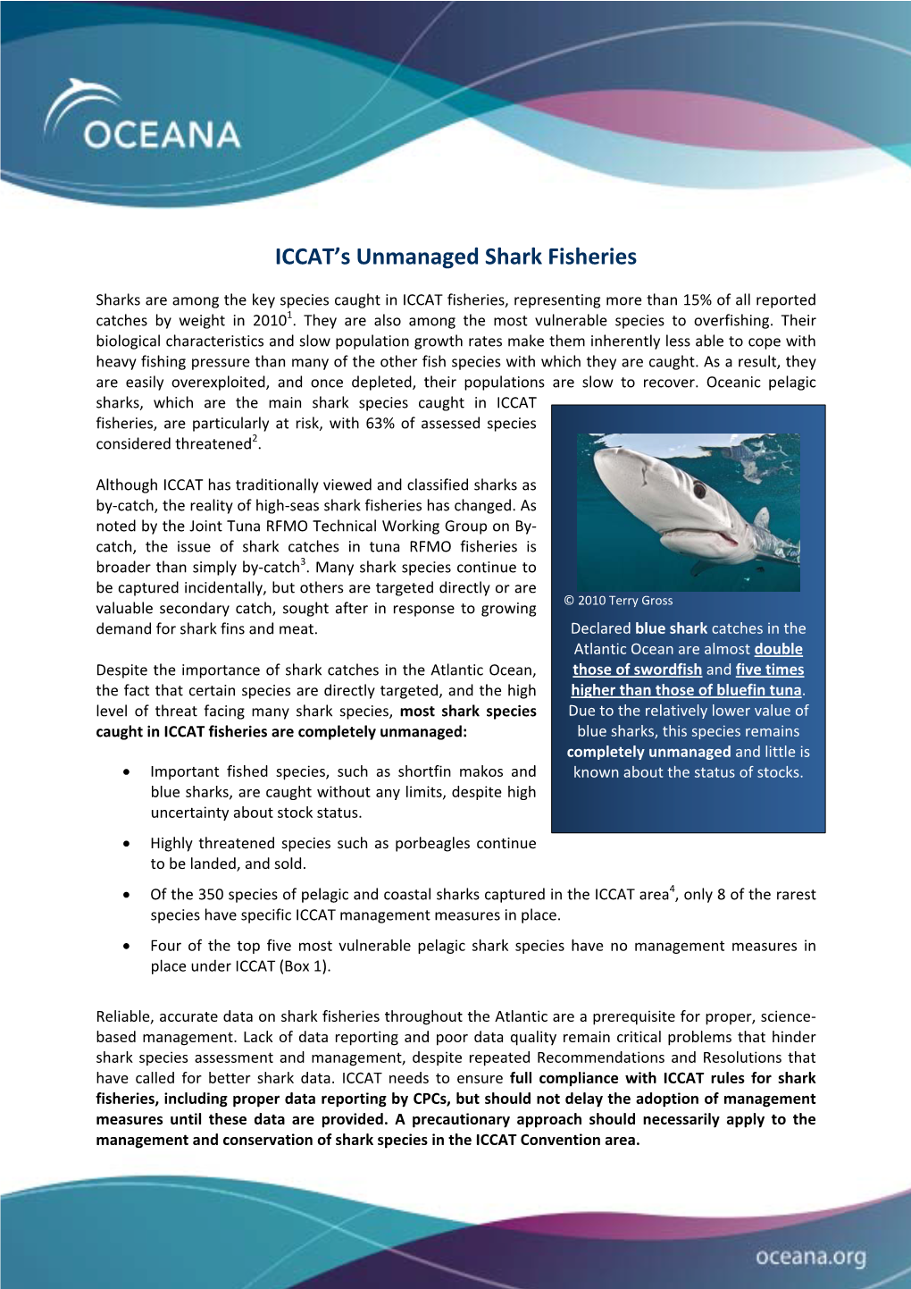 ICCAT's Unmanaged Shark Fisheries