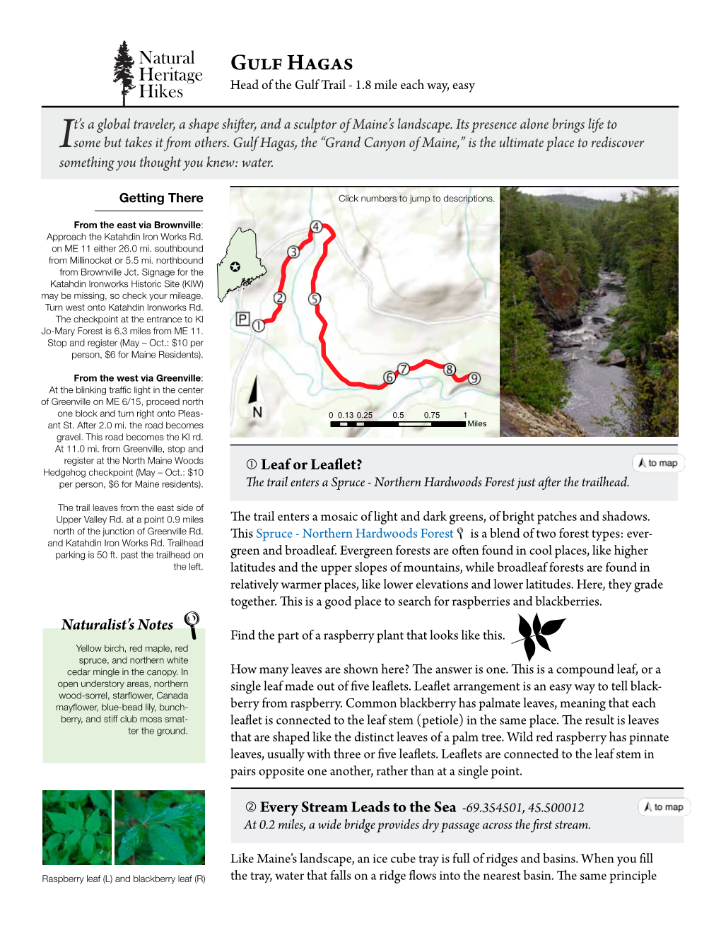 Gulf Hagas Hikes Head of the Gulf Trail - 1.8 Mile Each Way, Easy