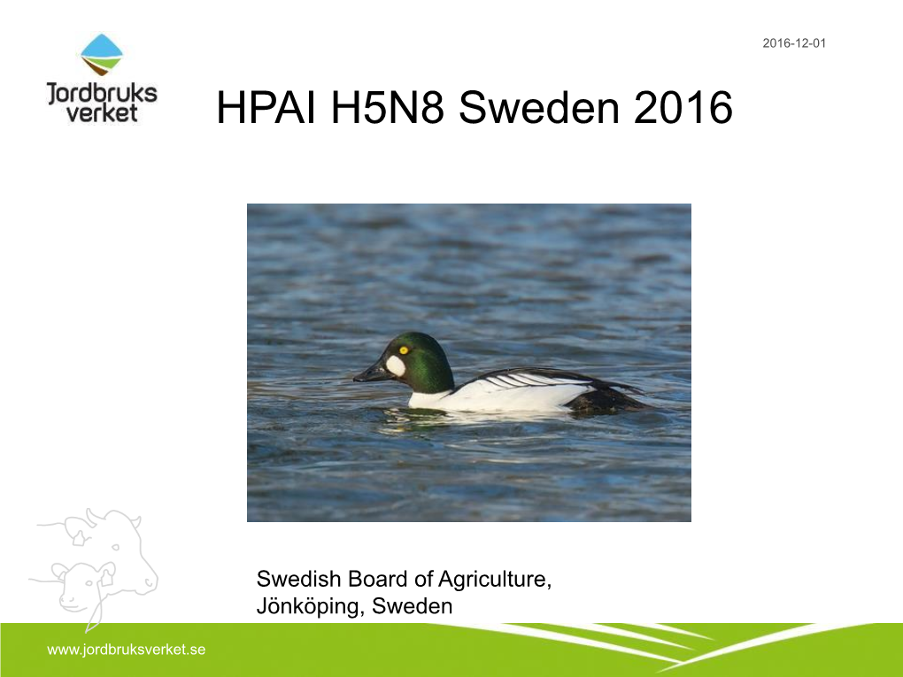 HP Avian Influenza