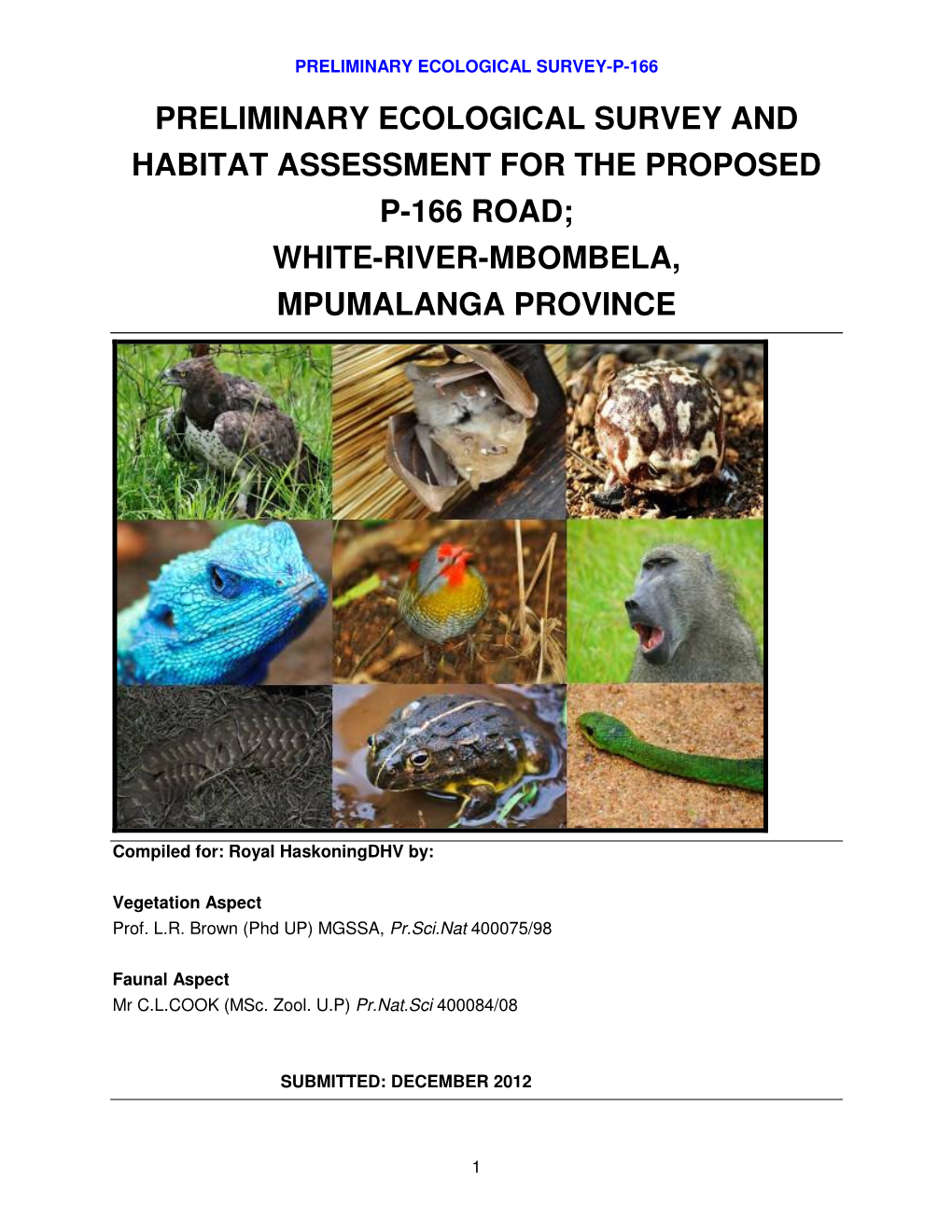 Preliminary Ecological Survey and Habitat Assessment for the Proposed P-166 Road; White-River-Mbombela, Mpumalanga Province