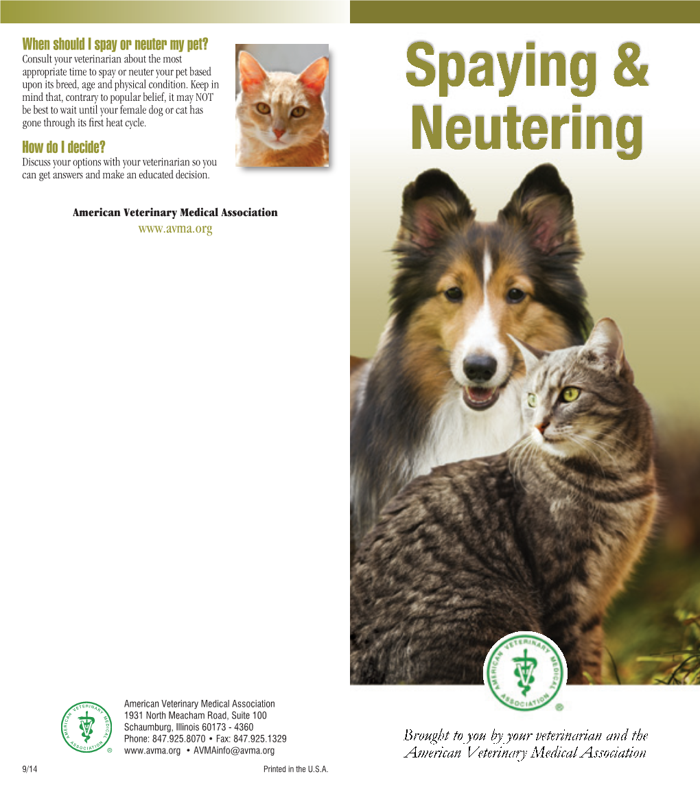 When Should I Spay Or Neuter My Pet? How Do I Decide?