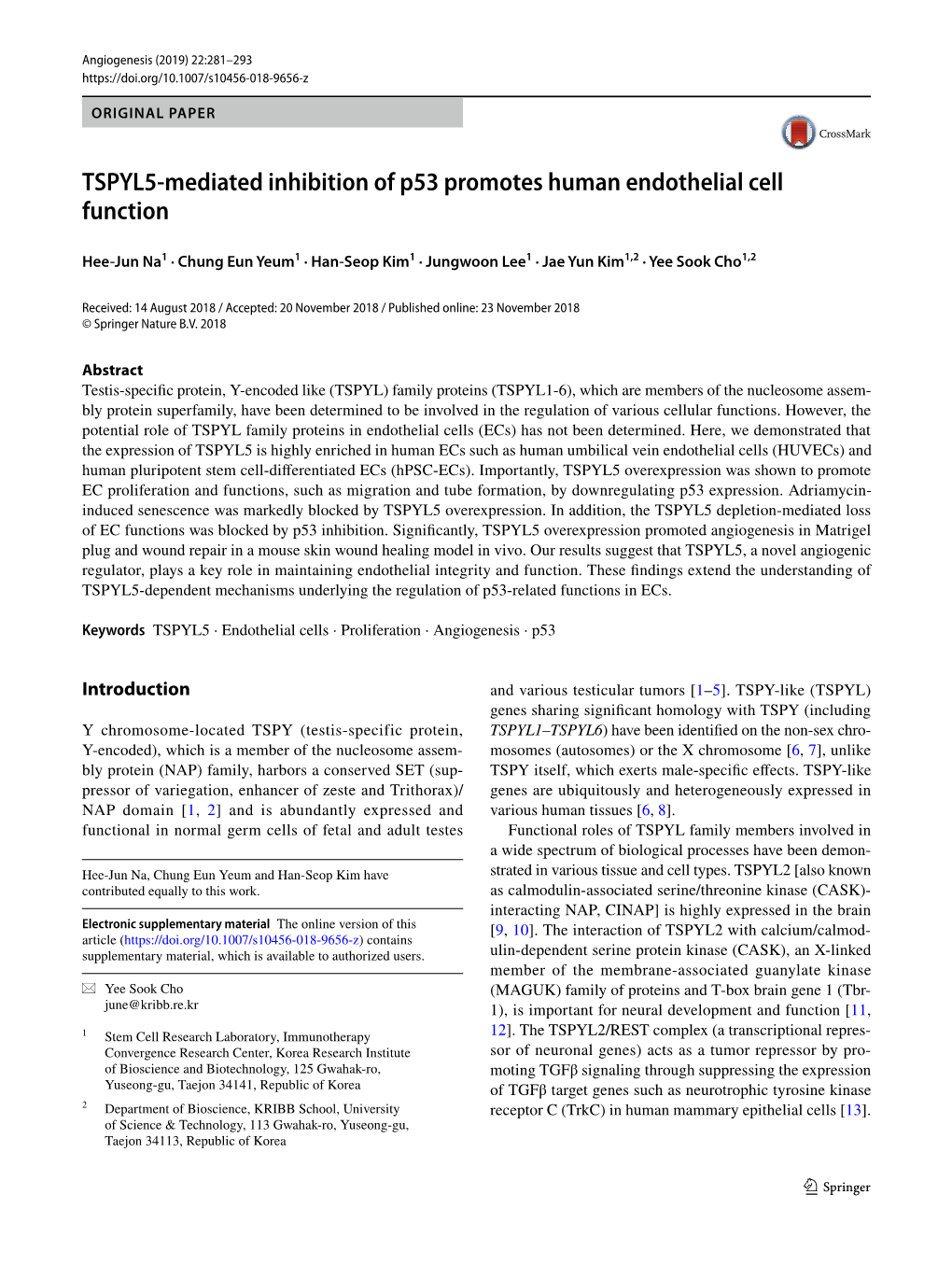 TSPYL5-Mediated Inhibition of P53 Promotes Human Endothelial Cell Function