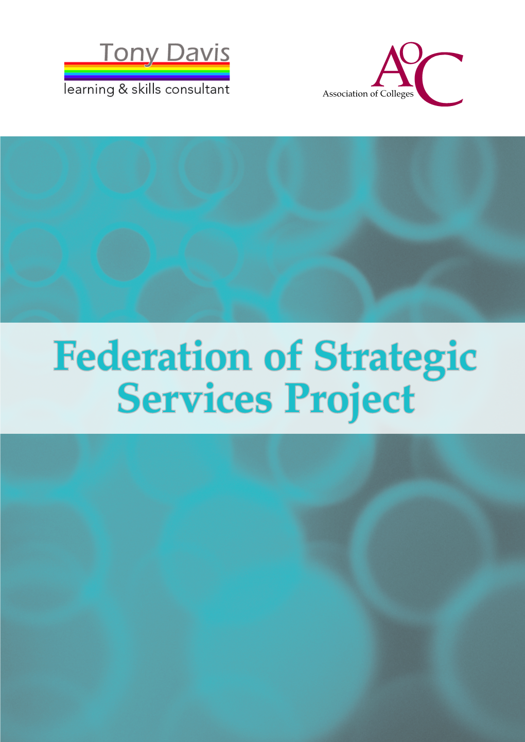 Federation of Strategic Services Project