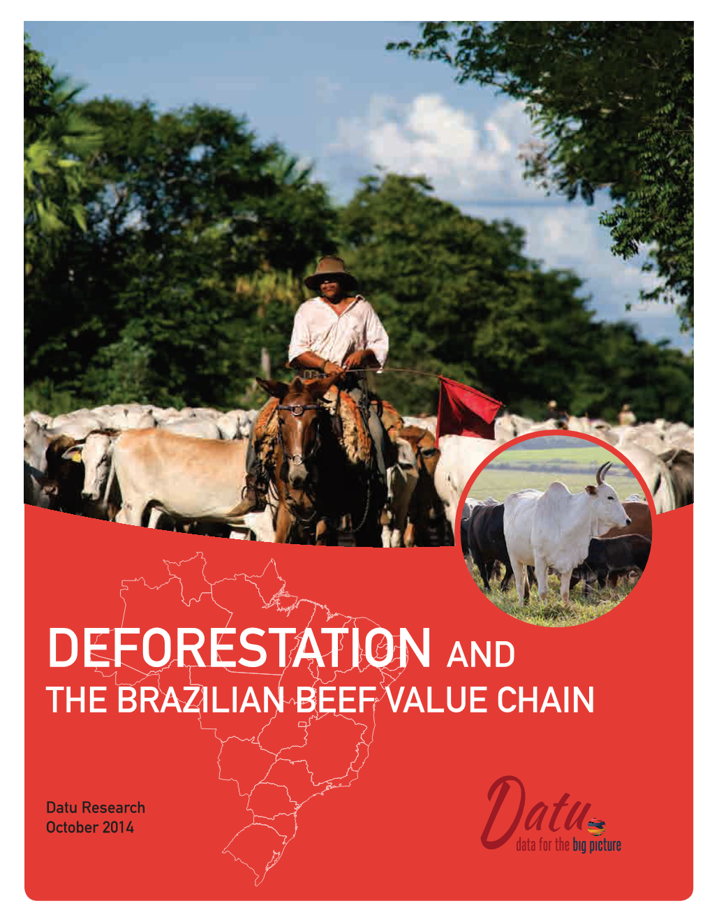 Deforestation and the Brazilian Beef Value Chain