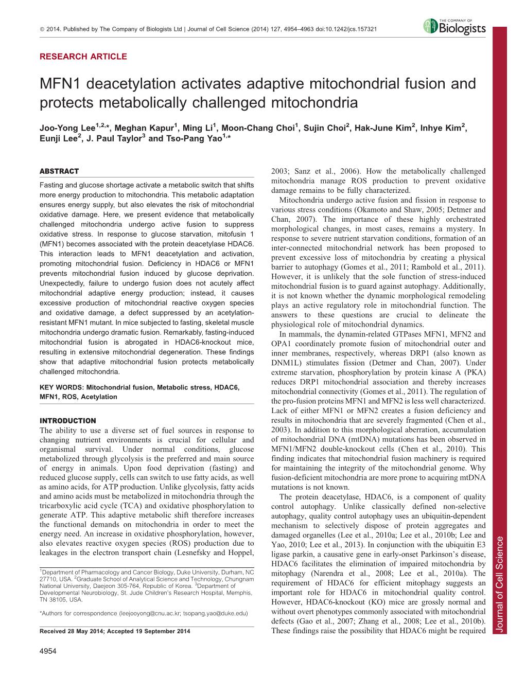 MFN1 Deacetylation Activates Adaptive Mitochondrial Fusion And