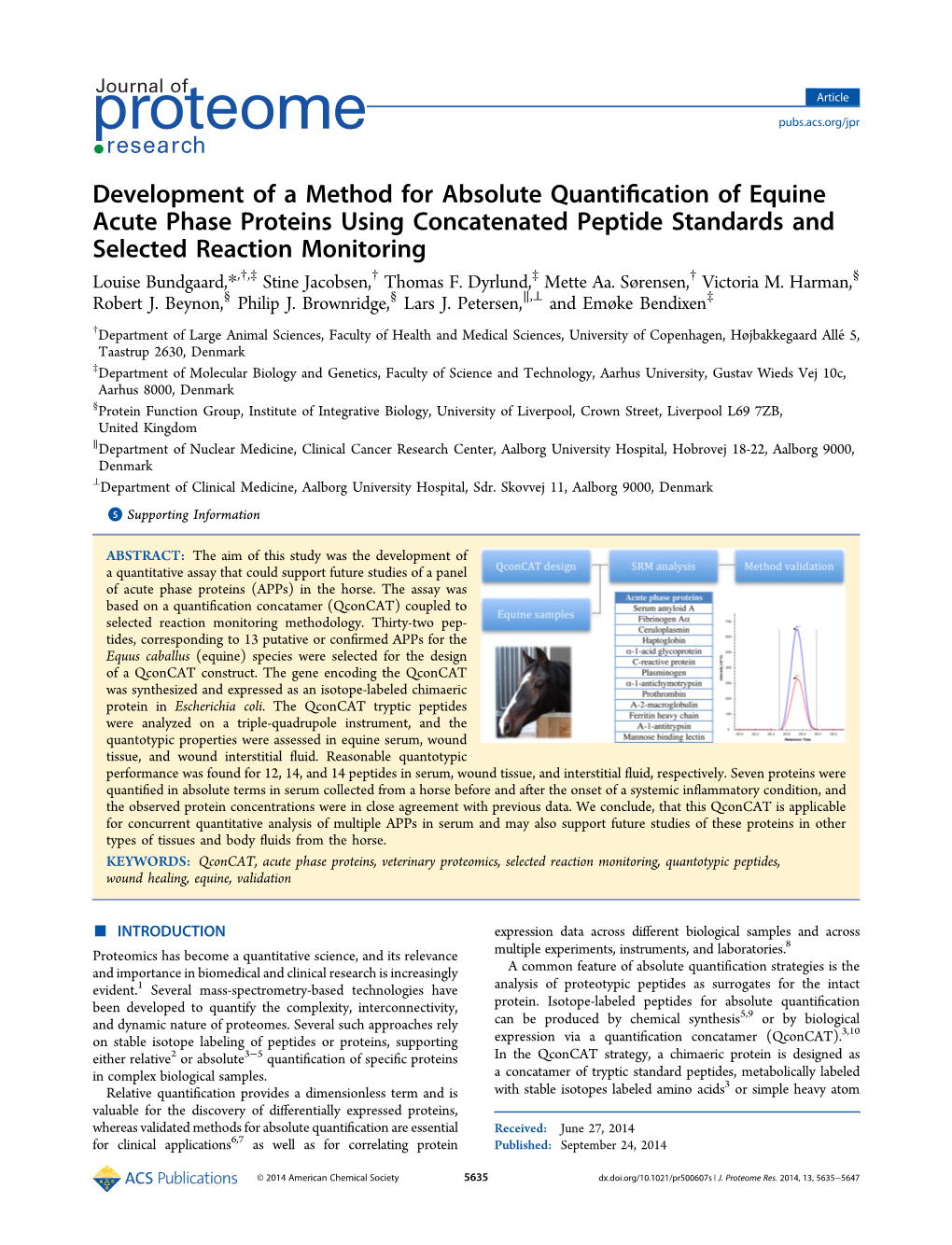 Development of a Method for Absolute Quantification of Equine Acute