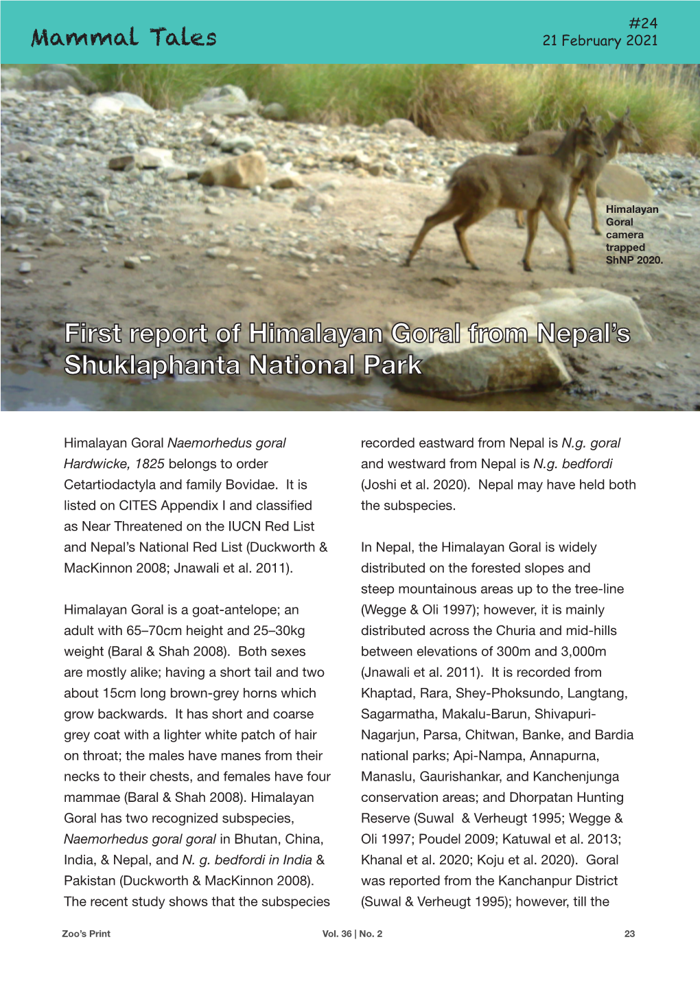 First Report of Himalayan Goral from Nepal's Shuklaphanta National Park