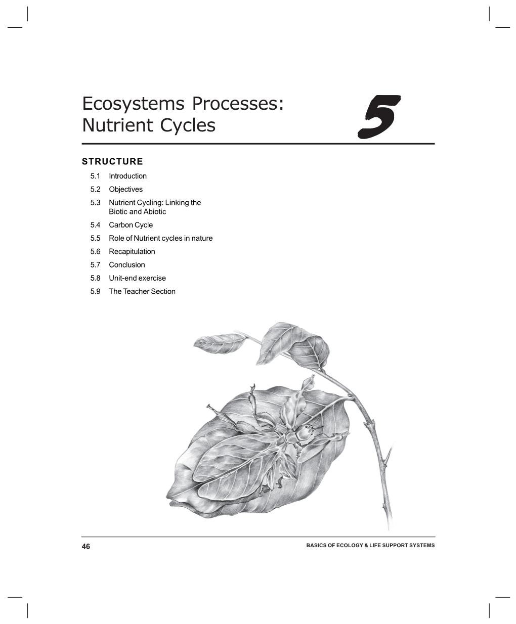 Ecosystems Processes: Nutrient Cycles