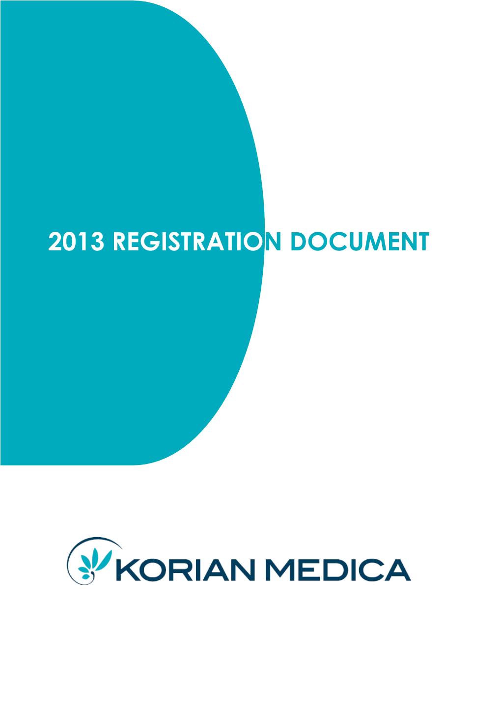 2013 Registration Document