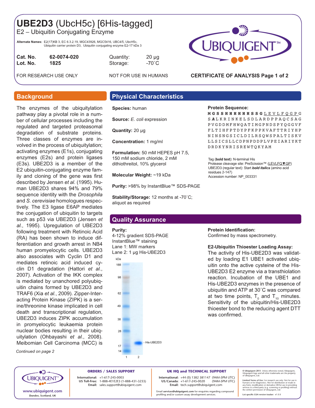 UBE2D3 (Ubch5c) [6His-Tagged] E2 – Ubiquitin Conjugating Enzyme