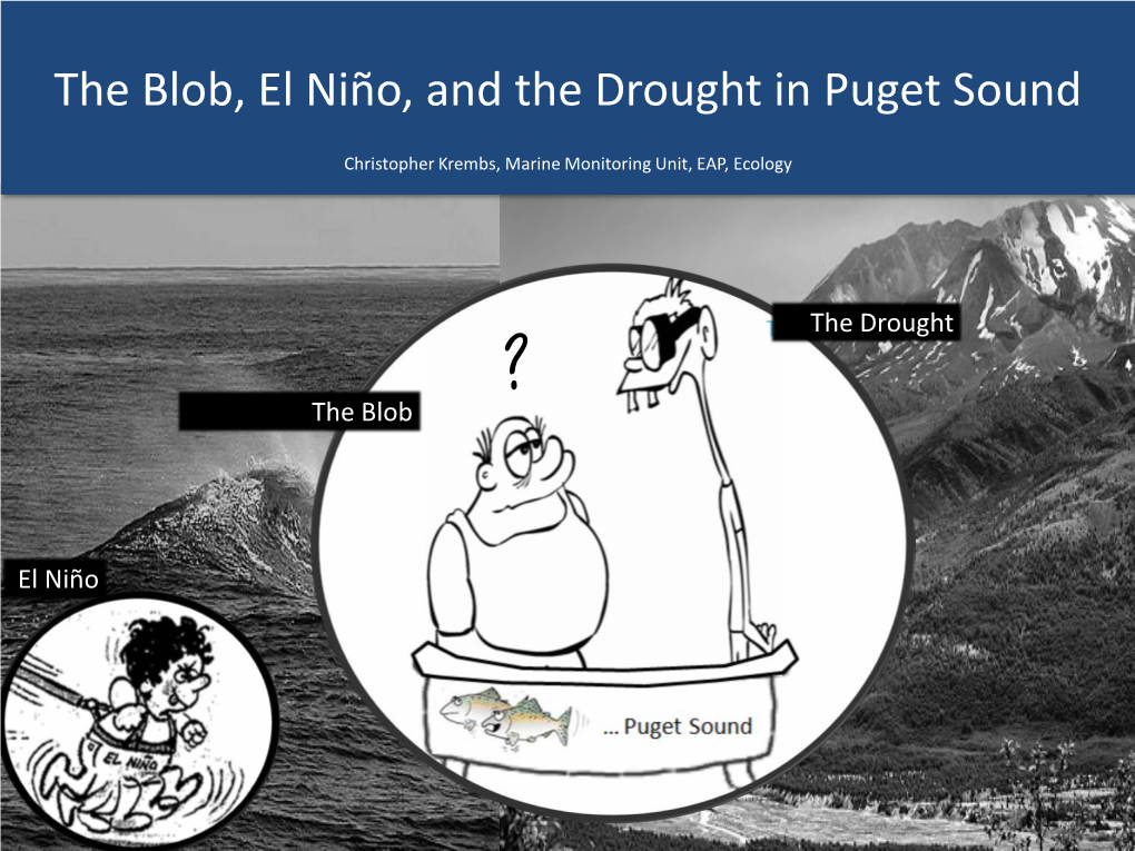 The Blob, El Niño, and the Drought in Puget Sound