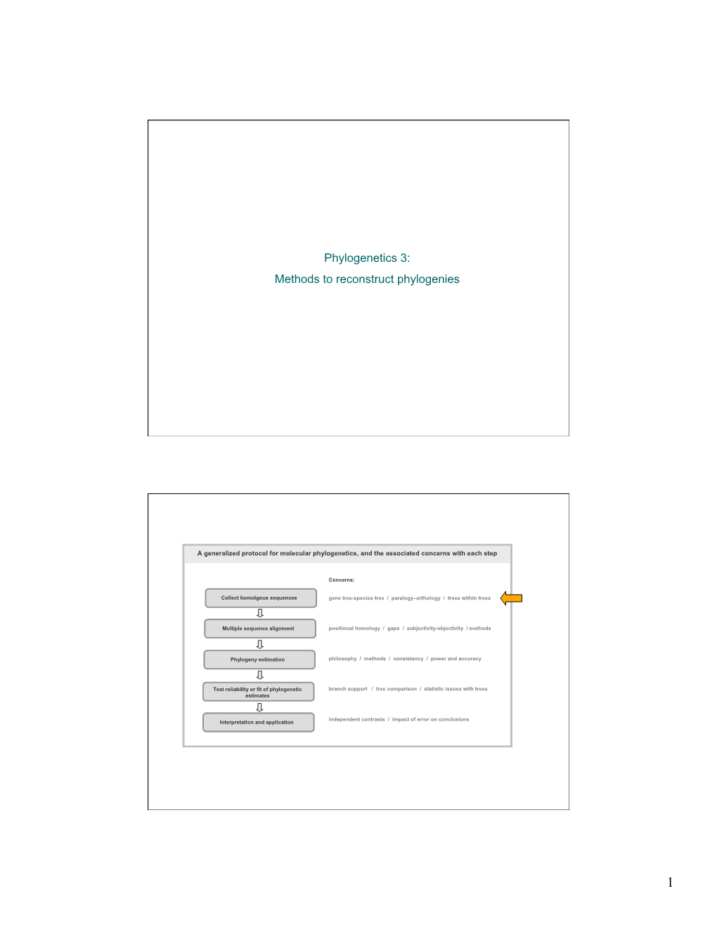 Phylogenetics 3: Methods to Reconstruct Phylogenies