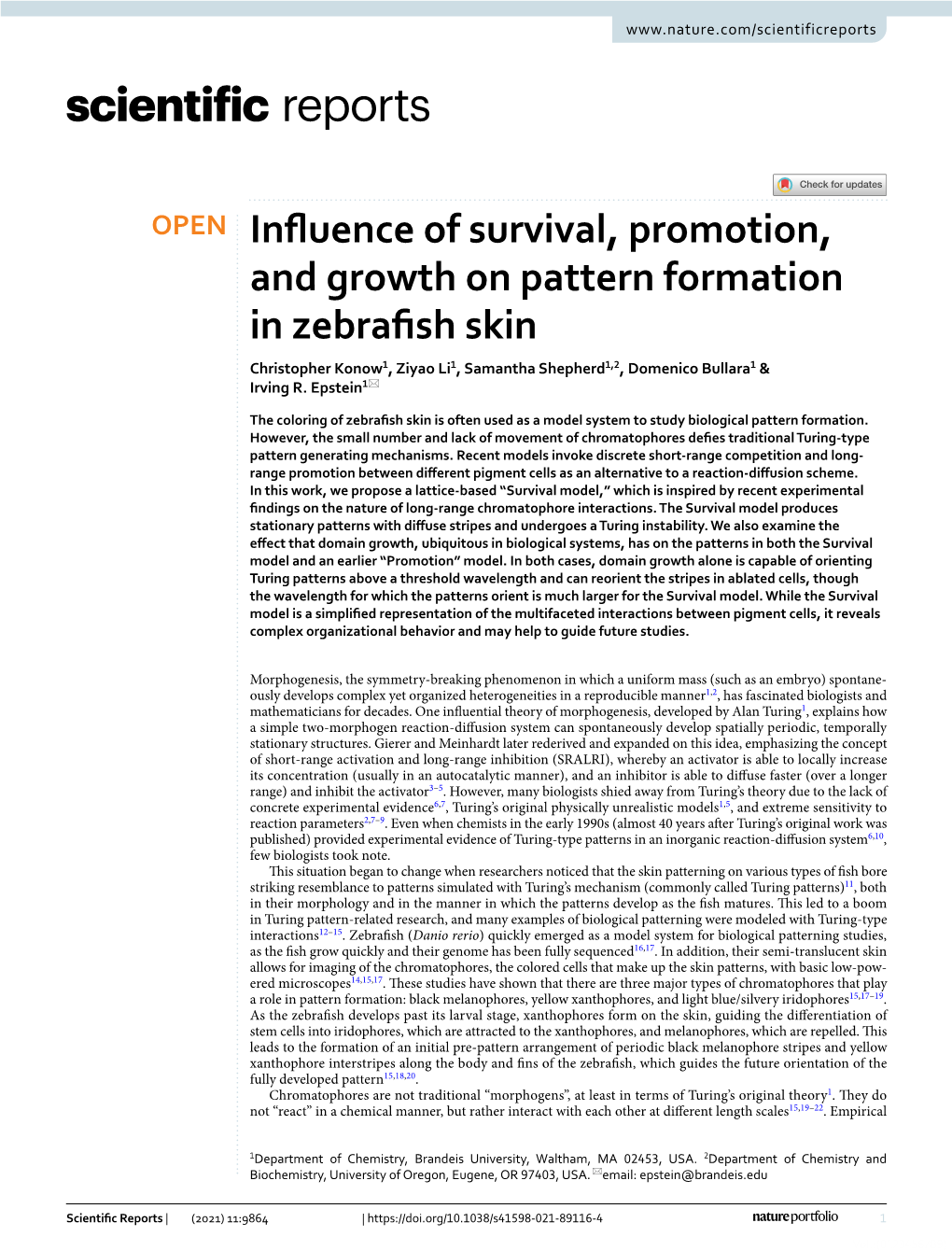 Influence of Survival, Promotion, and Growth on Pattern Formation In