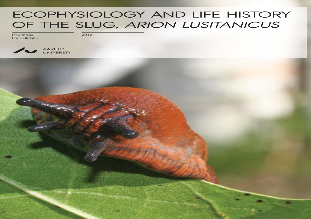 Of the Slug, Arion Lusitanicus Ecophysiology and Life History