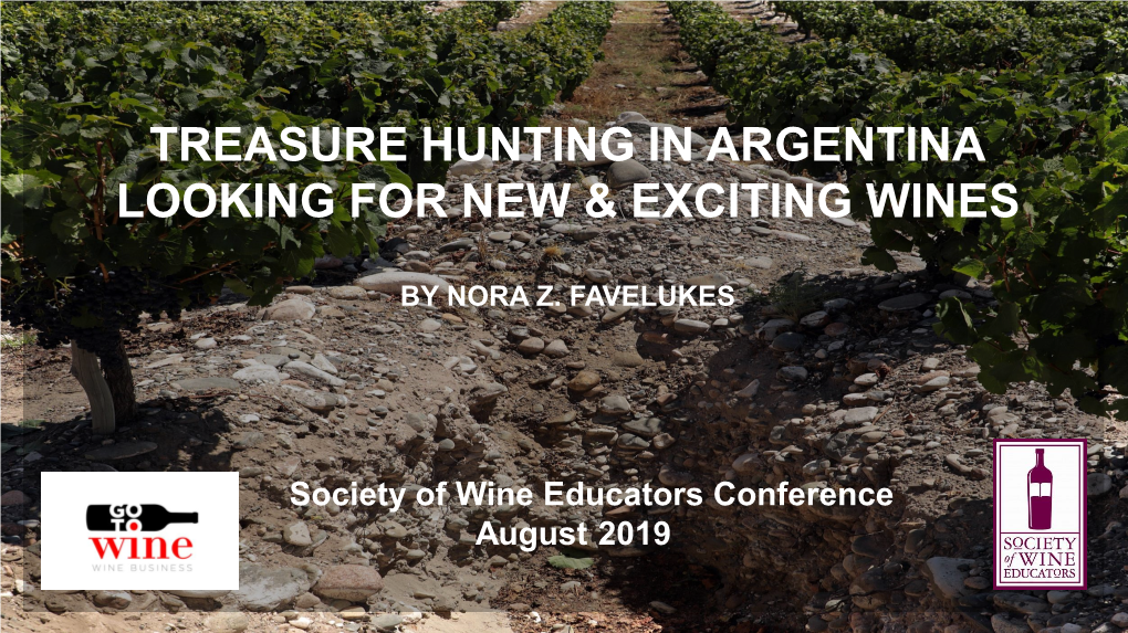 Treasure Hunting in Argentina Looking for New & Exciting Wines