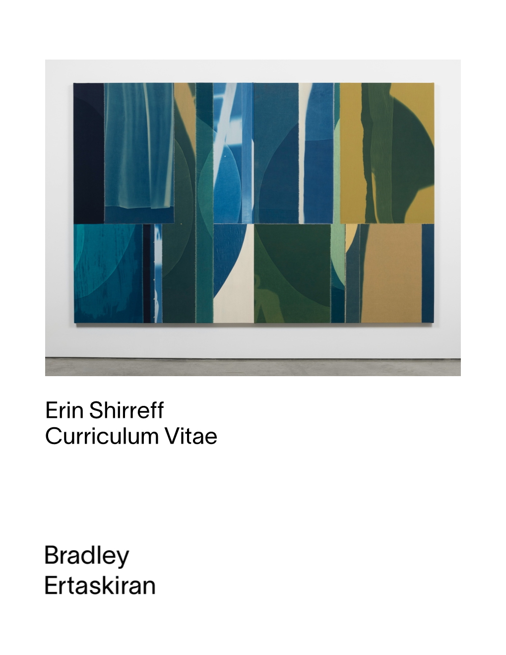 Erin Shirreff Curriculum Vitae