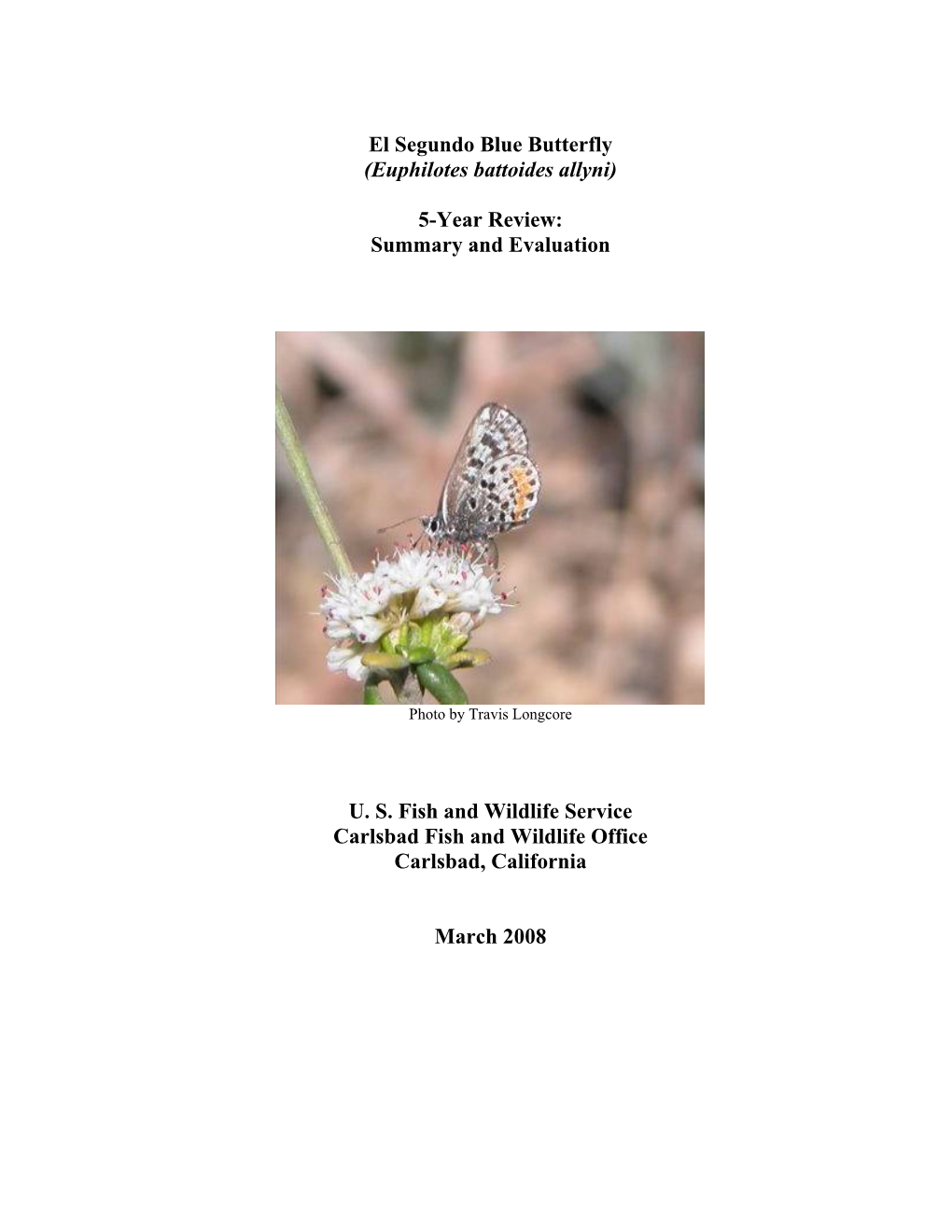 El Segundo Blue Butterfly (Euphilotes Battoides Allyni) 5-Year Review