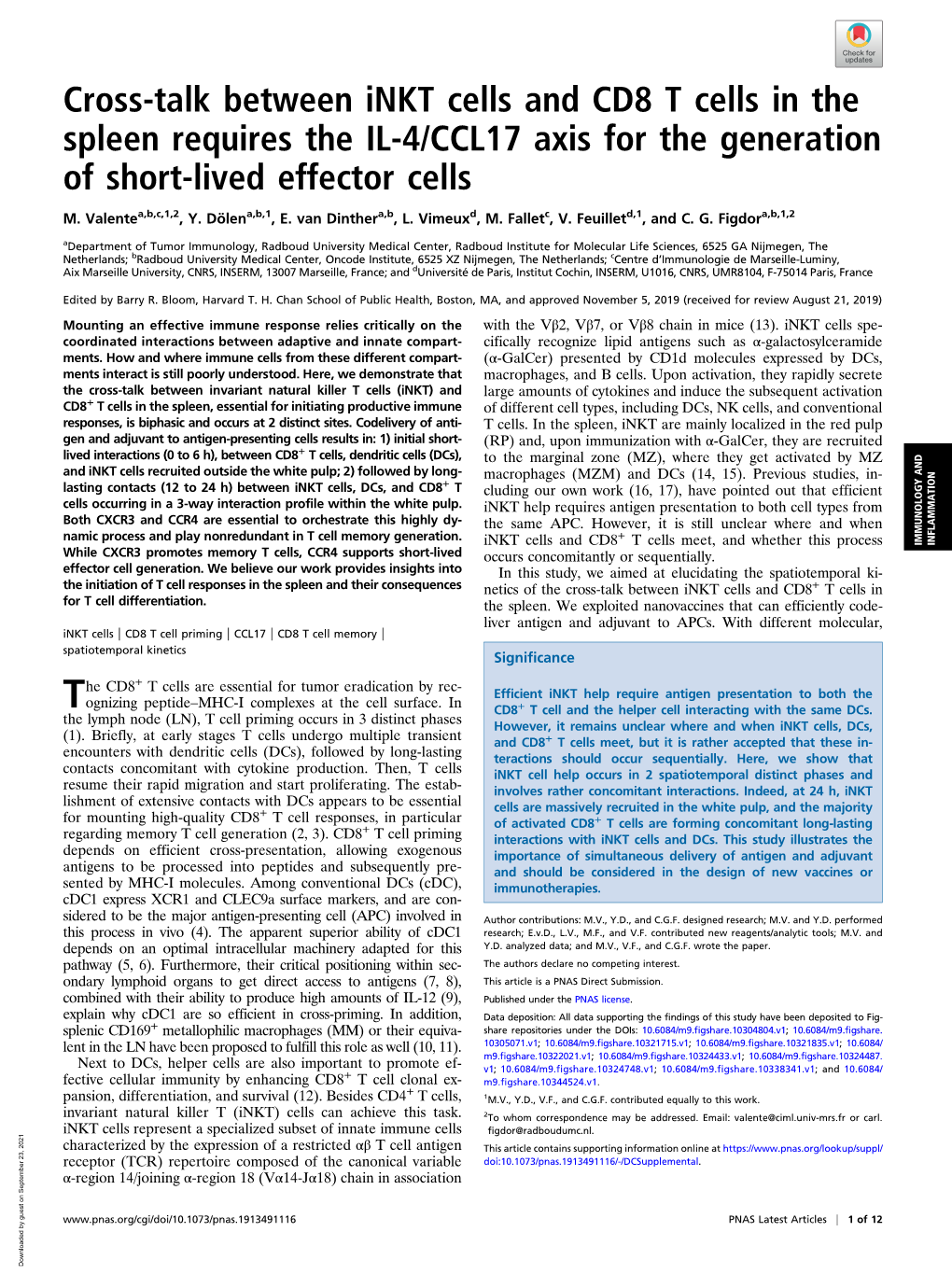 Cross-Talk Between Inkt Cells and CD8 T Cells in the Spleen Requires the IL-4/CCL17 Axis for the Generation of Short-Lived Effector Cells