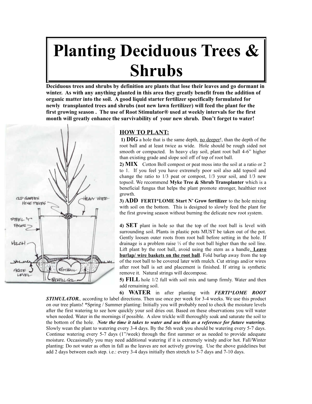 Planting Deciduous Trees & Shrubs