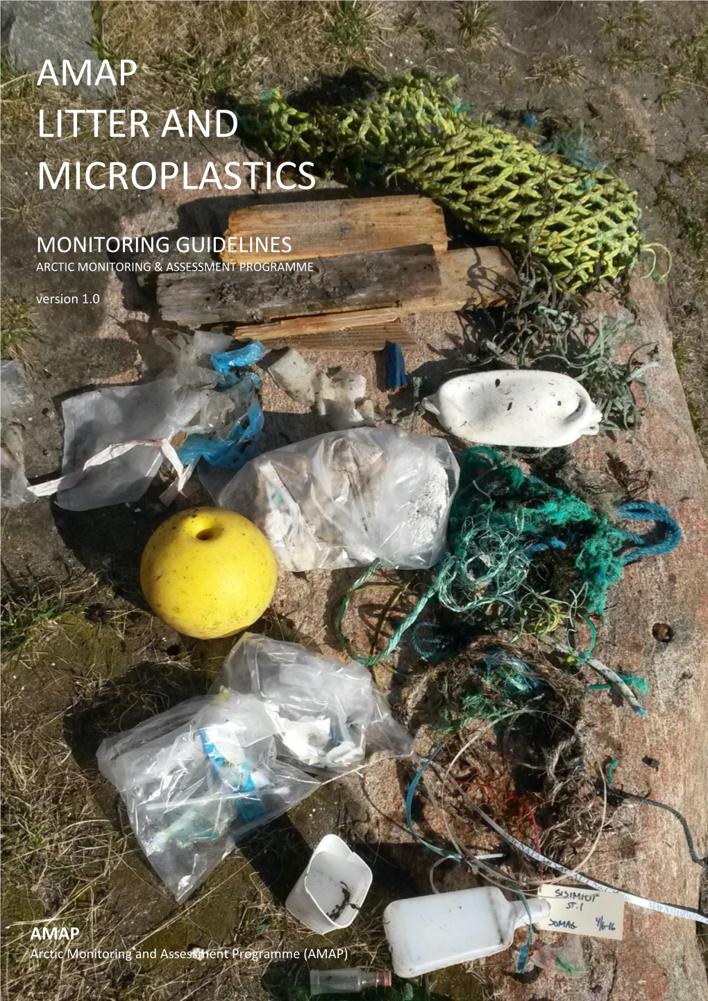 Litter and Microplastics
