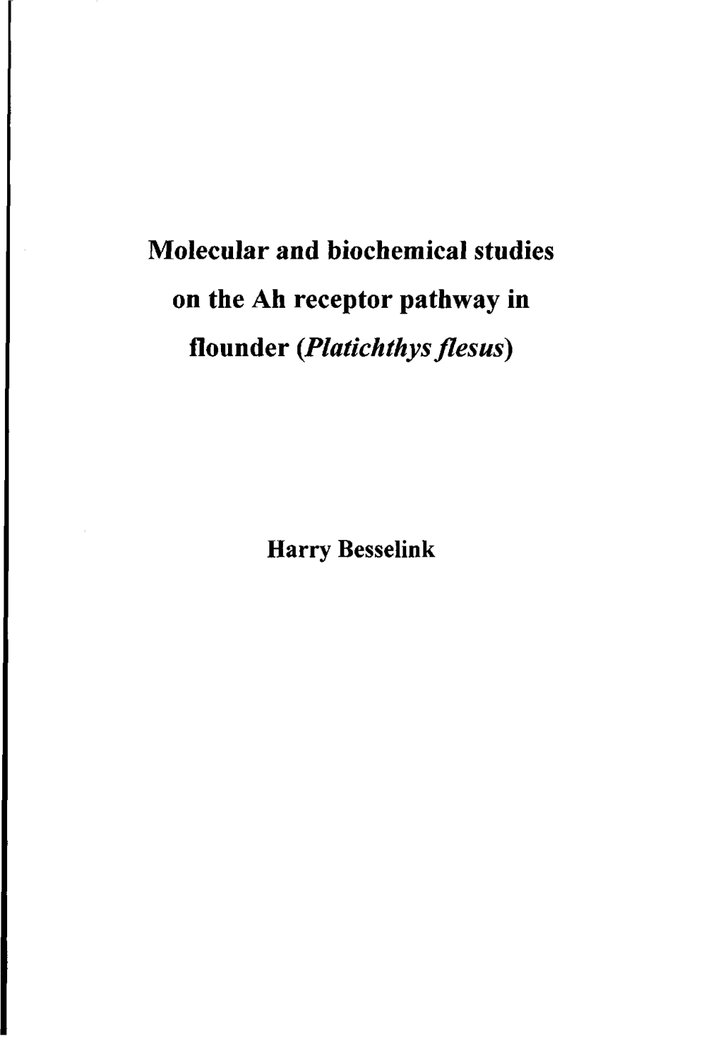 Molecular and Biochemical Studies on the Ah Receptor Pathway in Flounder {Platichthys Flesus)