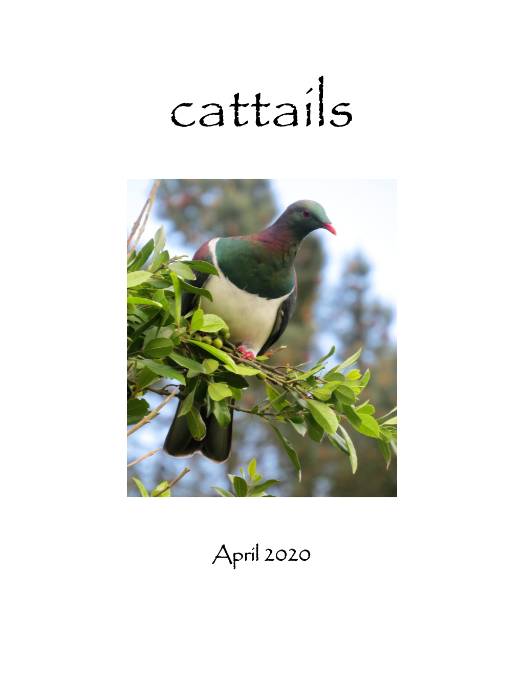 Cattails April 2020 Issue