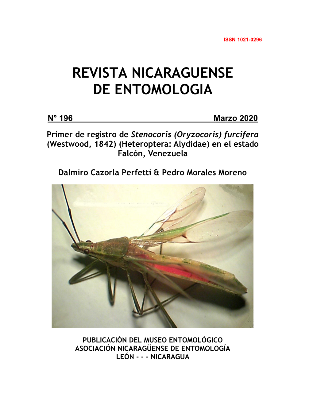 Furcifera (Westwood, 1842) (Heteroptera: Alydidae) En El Estado Falcón, Venezuela