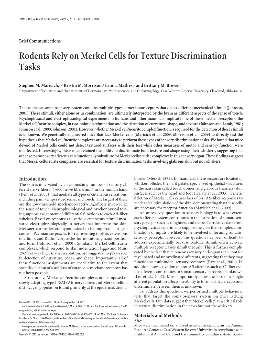 Rodents Rely on Merkel Cells for Texture Discrimination Tasks