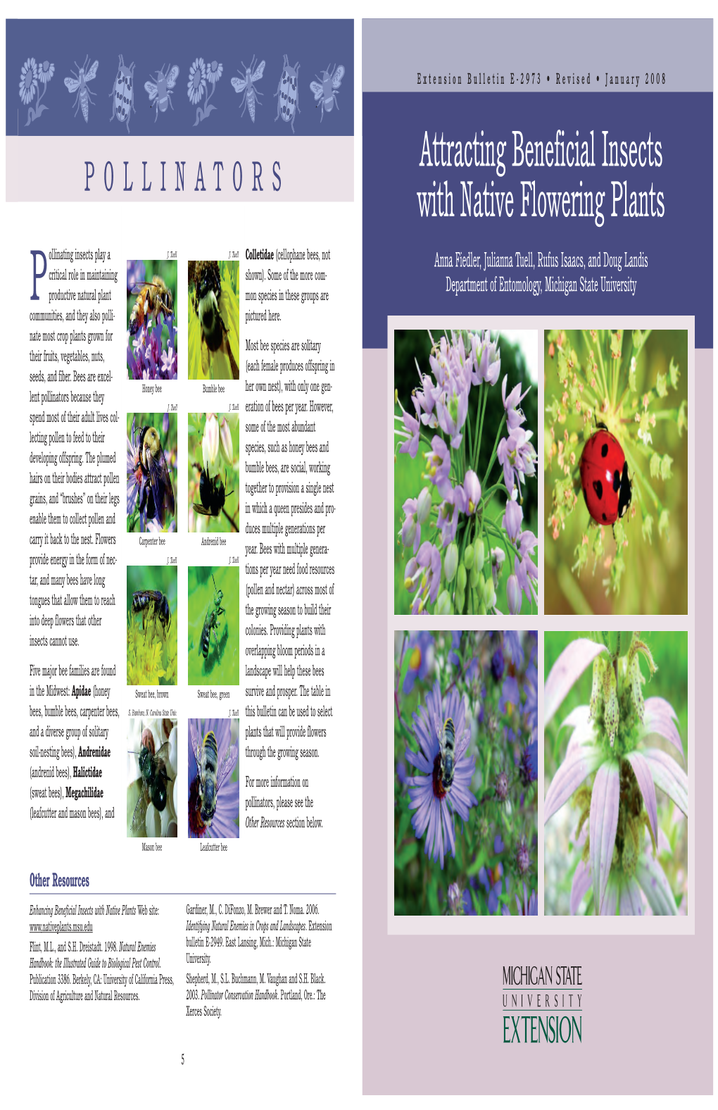 Attracting Beneficial Insects with Native Flowering Plants
