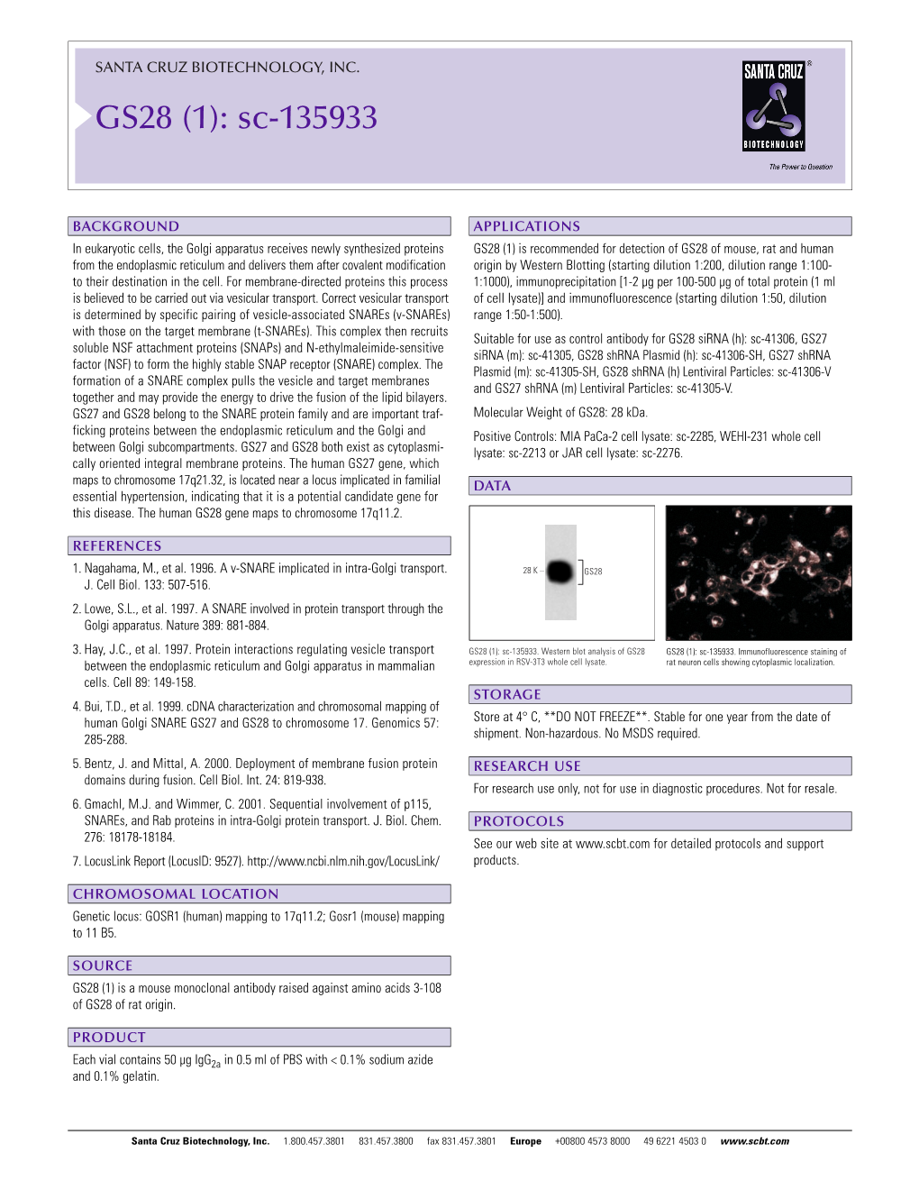 Datasheet Blank Template