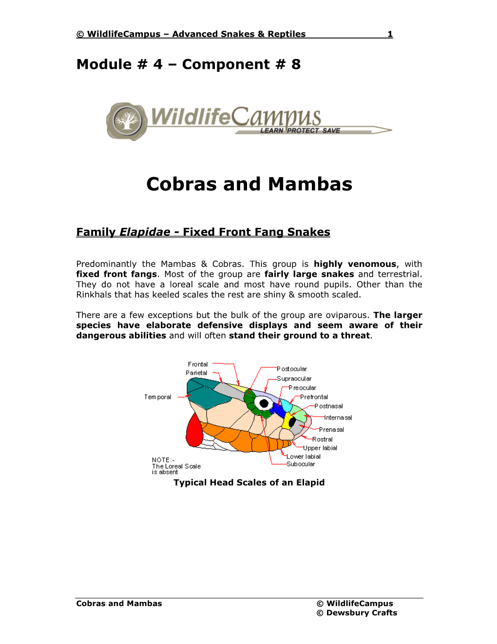 Cobras and Mambas