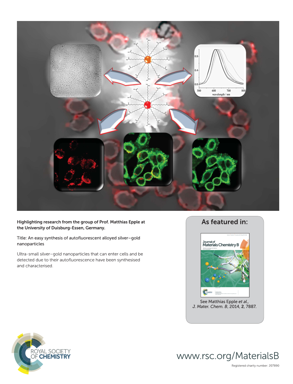 An Easy Synthesis of Autofluorescent Alloyed Silver–Gold Nanoparticles