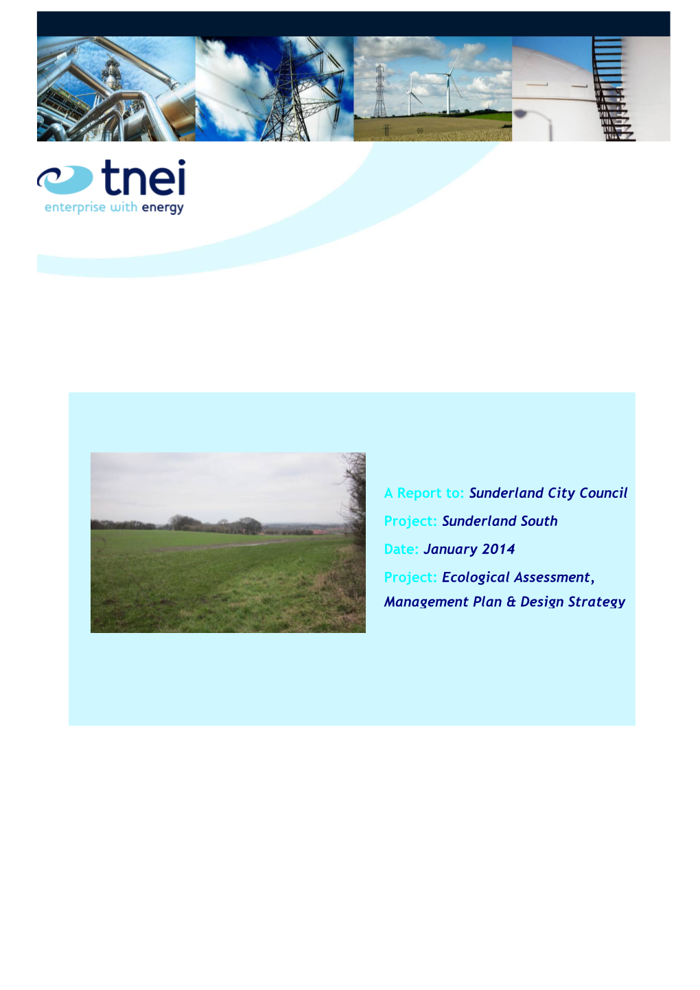 Sunderland South Date: January 2014 Project: Ecological Assessment, Management Plan & Design Strategy