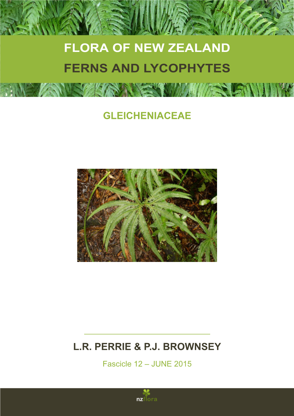 Flora of New Zealand Ferns and Lycophytes