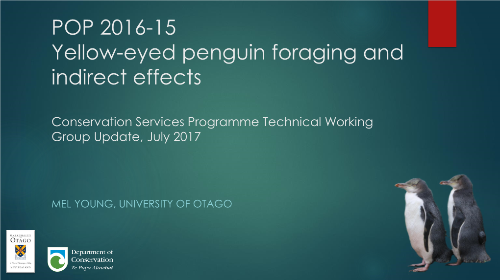 POP 2016-15 Yellow-Eyed Penguin Foraging and Indirect Effects