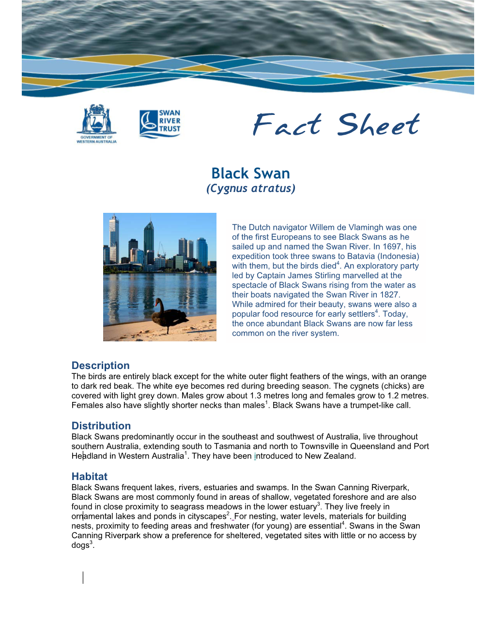 Fact Sheet Black Swan