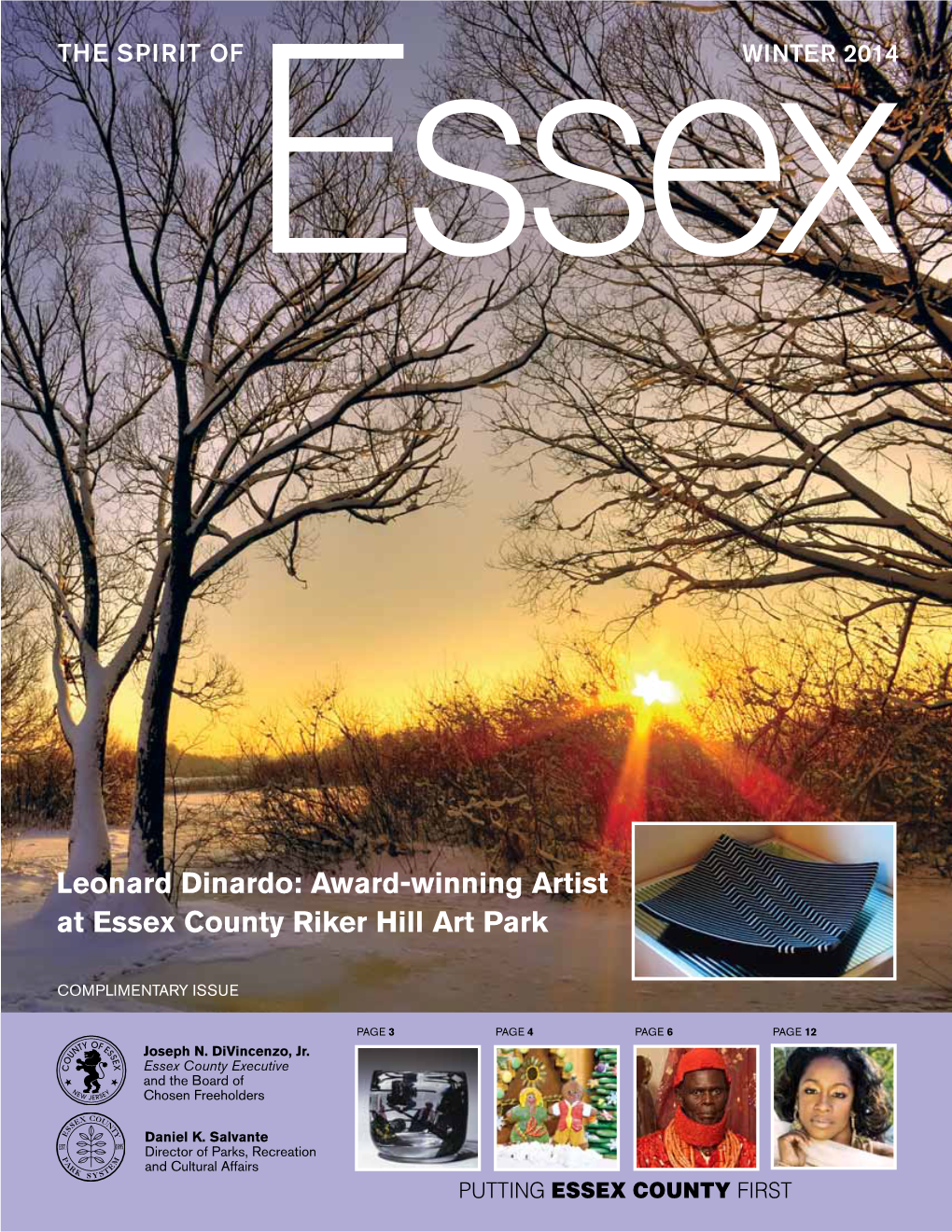 Leonard Dinardo: Award-Winning Artist at Essex County Riker Hill Art Park