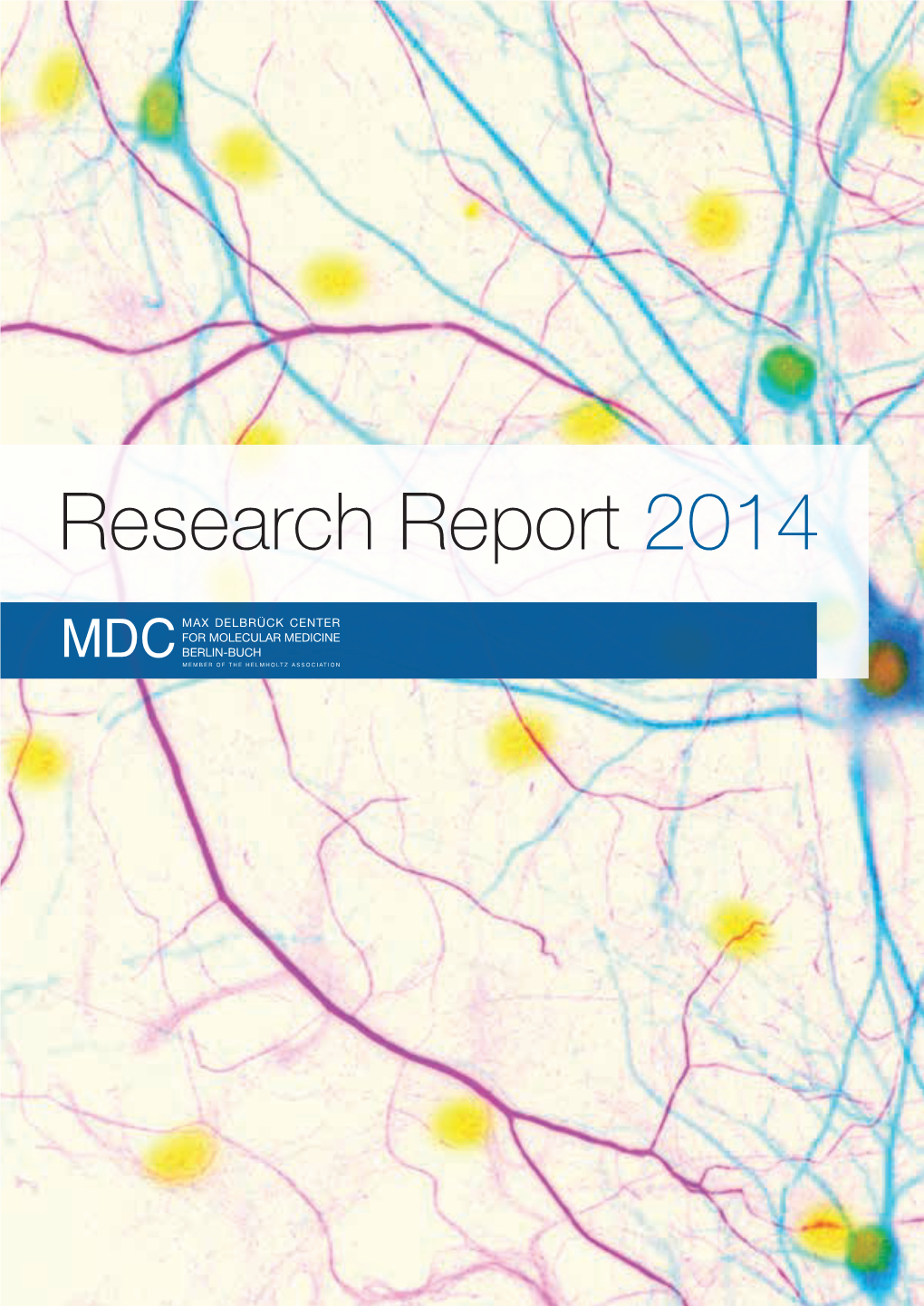 Research Report 2014