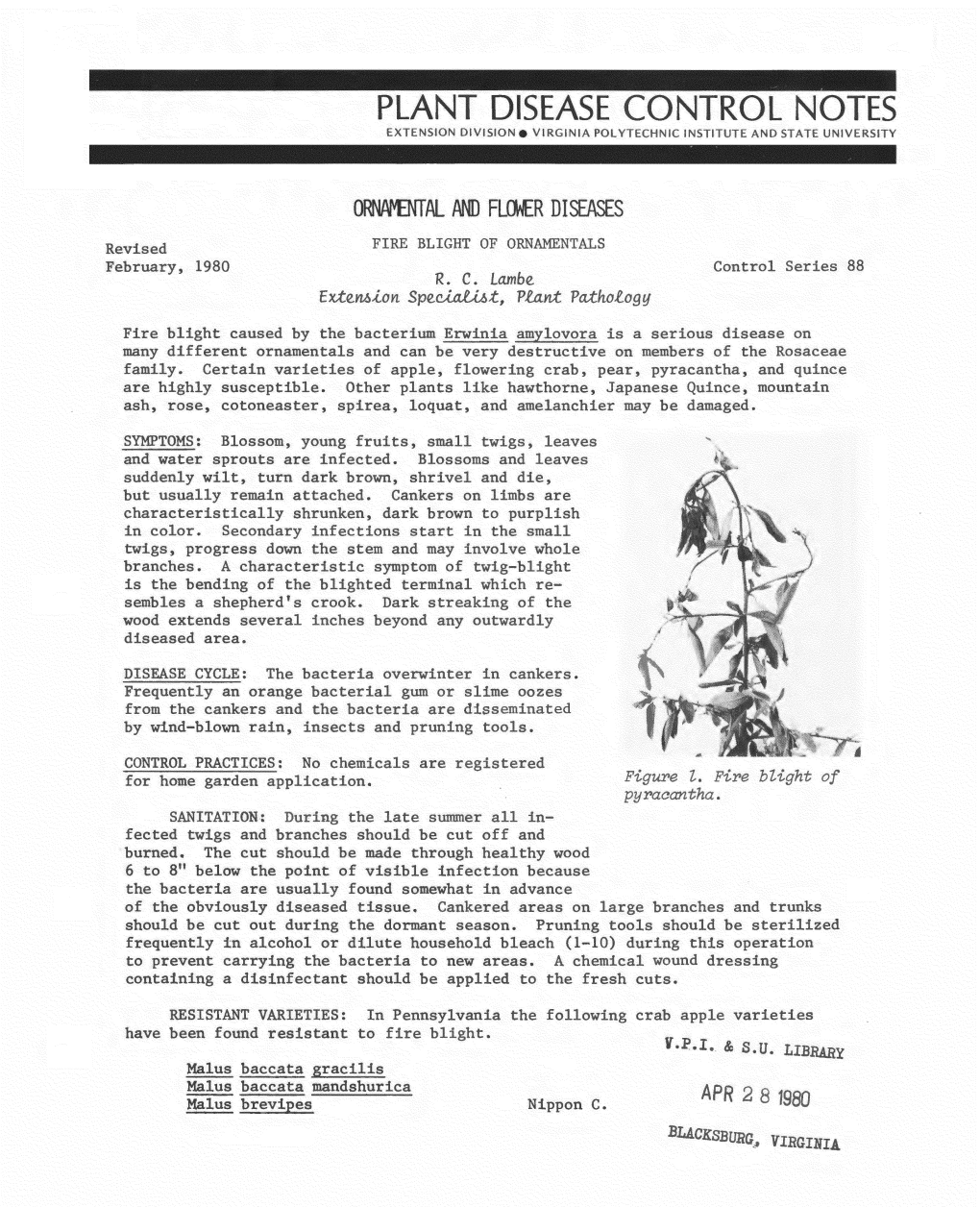 PLANT DISEASE CONTROL NOTES EXTENSION DIVISION E VIRGINIA POLYTECHNIC INSTITUTE and STATE UNIVERSITY