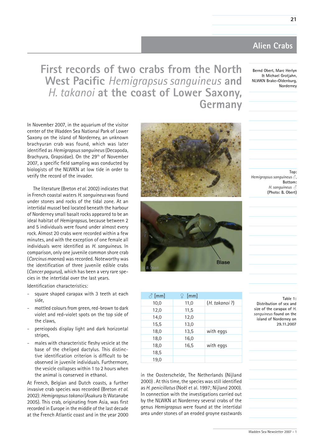 First Records of Two Crabs from the North West Pacific Hemigrapsus