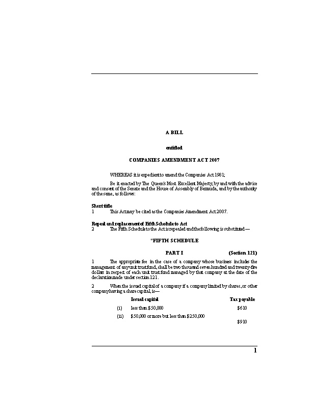 Companies Amendment Act 2007