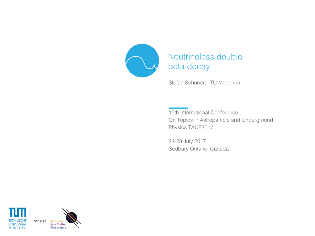 Neutrinoless Double Beta Decay