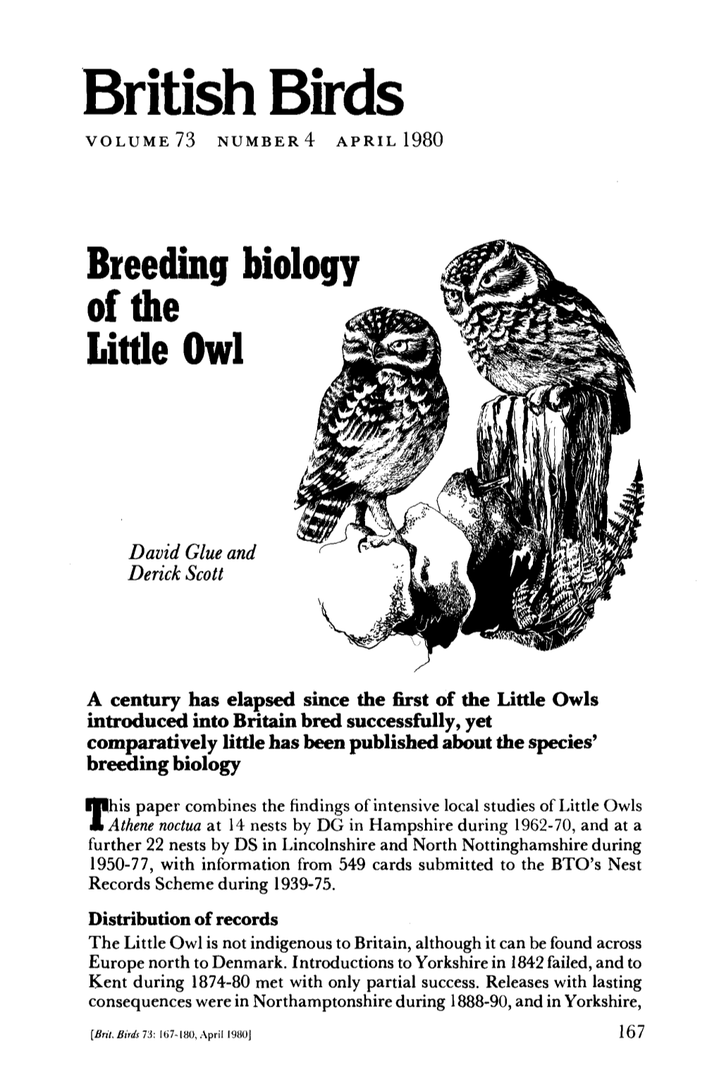 Breeding Biology of the Little Owl