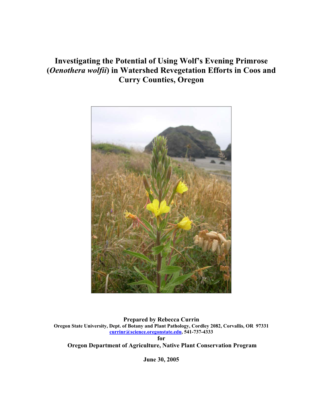 Investigating the Potential of Using Wolf's Evening Primrose
