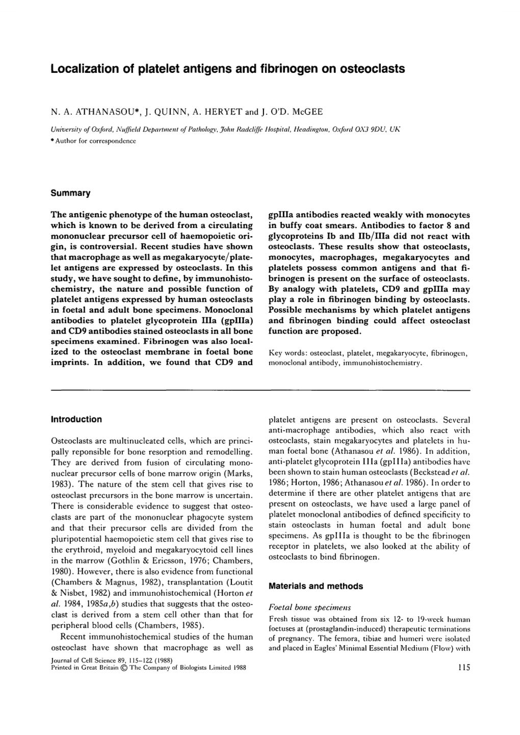 Localization of Platelet Antigens and Fibrinogen on Osteoclasts