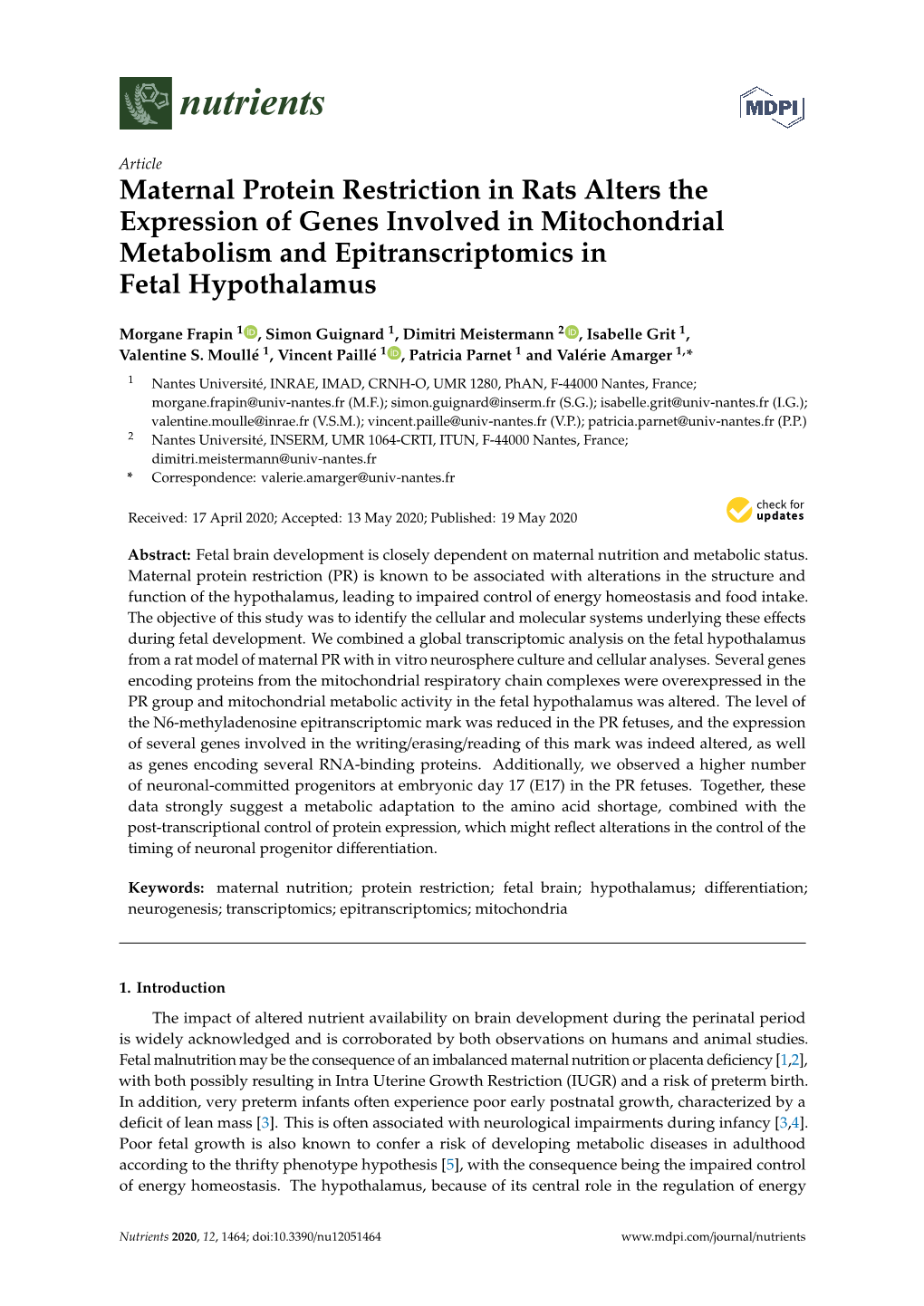 Maternal Protein Restriction in Rats Alters the Expression of Genes Involved in Mitochondrial Metabolism and Epitranscriptomics in Fetal Hypothalamus