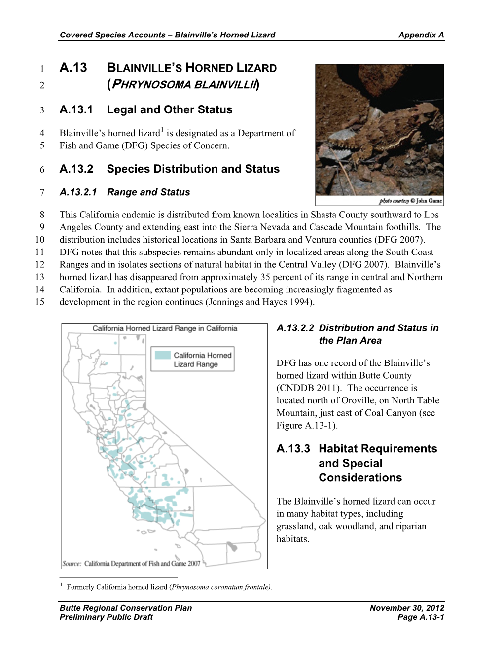 Phrynosoma Blainvillii)