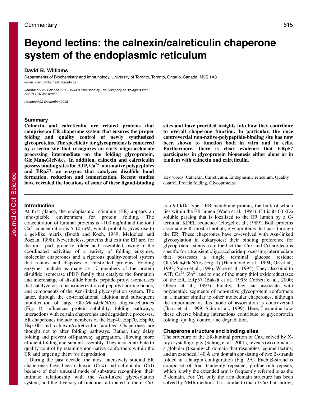 Beyond Lectins: the Calnexin/Calreticulin Chaperone System of the Endoplasmic Reticulum