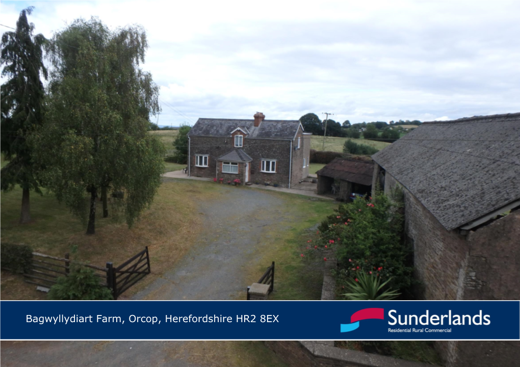 Bagwyllydiart Farm, Orcop, Herefordshire HR2 8EX